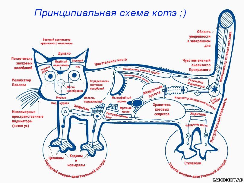 схемы телевизоров принципиальные